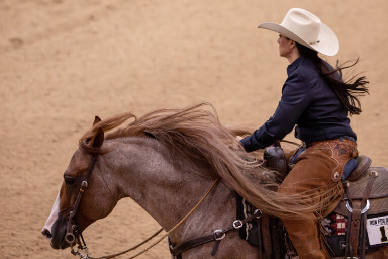 KZP_OPENBRIDLE-6_crop