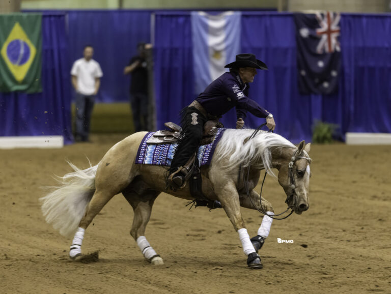 Matt-Palmer-The-Ride