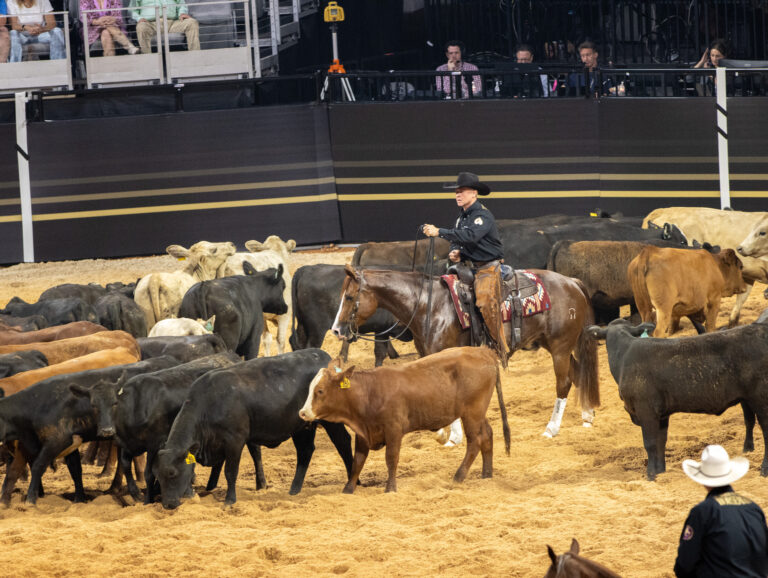 Michael_Cooper_BellaLouella_TAPH25_EC_IMG_2151