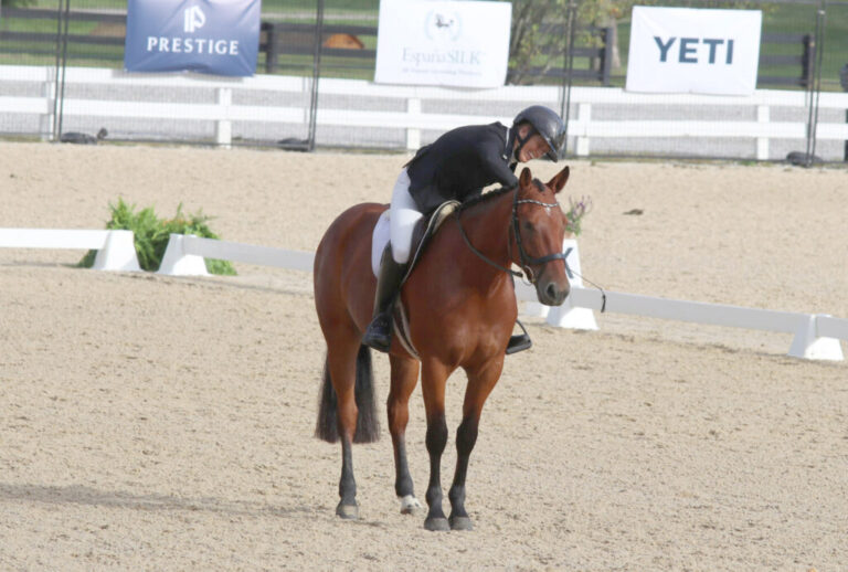 ElisaDressage_KL-copy-2-1024x690