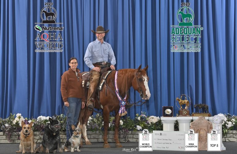 Steve-Meadows-IMG_3915