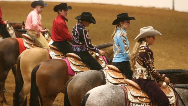 Gallop Poll: Showtime! promo image