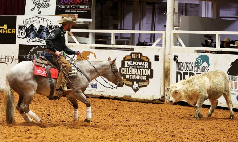 HR_23BON_Pick-a-Performance-Prospect_by-Kate-Bradley-Byars