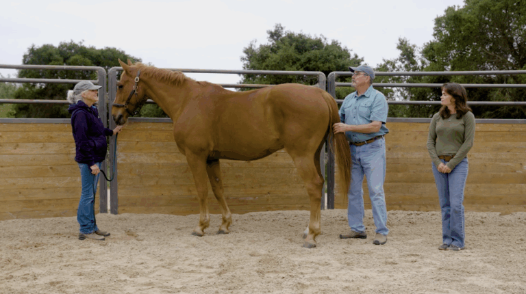 masterson-hind-end-tension