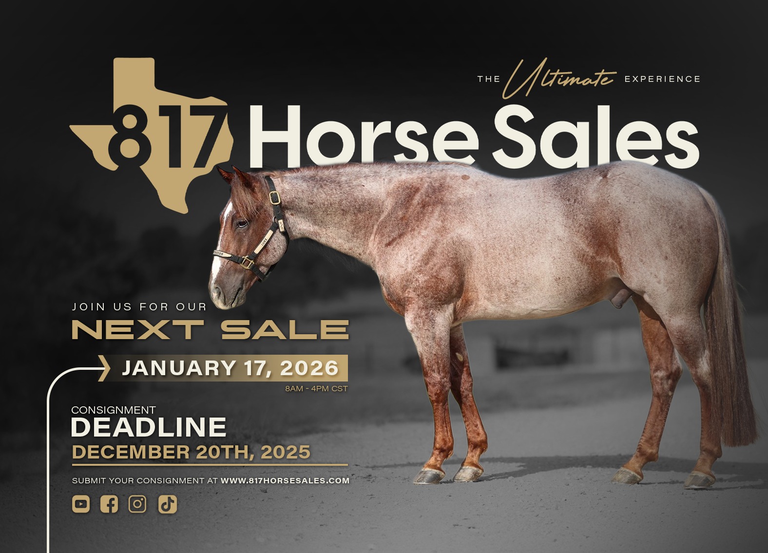 817 HORSE SALES 817 HORSE SALES