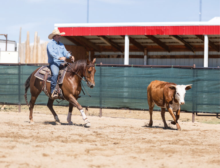 HR_25WIN_Private Lesson_ranch-sorting-drills_kody-ward_a