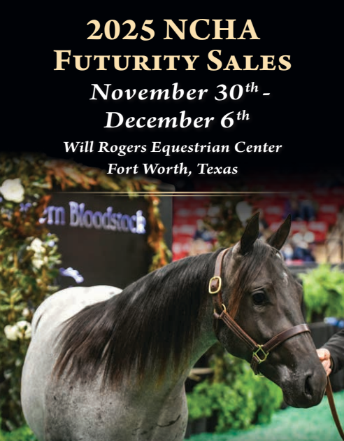 NCHA futurity sale NCHA futurity sale