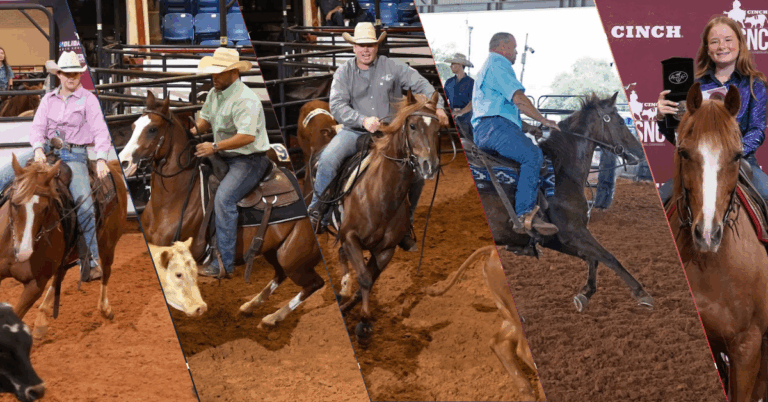 shes pretty smooth header