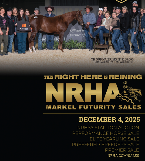 nrha markel futurity sale nrha markel futurity sale