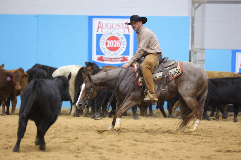 Chad_Bushaw_Cassanova_4_Year_Old_Non_Pro_1st_go_POLS4147