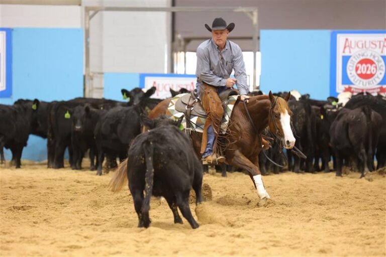 James_Bradley_Mitchell_Smooth_Metallica_4_Year_Old_Open_1st_go_POLS2919