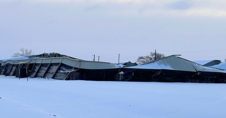 Jason Vanlandingham's 125 x 300-foot arena was one of the many metal building structures unable to take the strain of the icy precipitation deposited by winter storm "Fern." Photo courtesy Vanlandingham