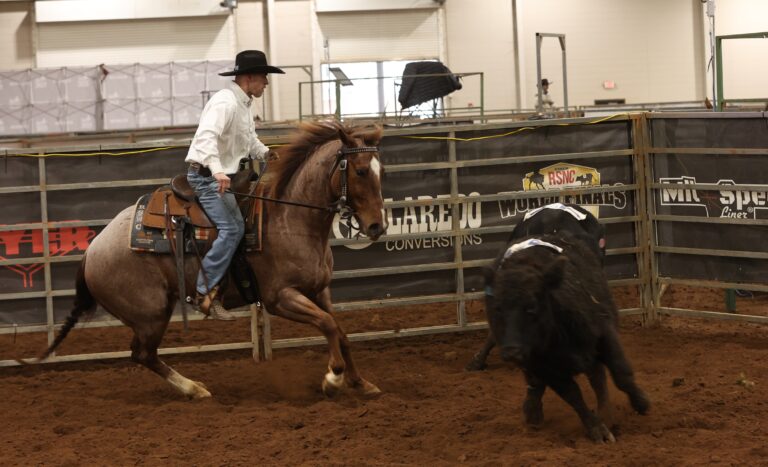 WHAllLevels-SE26-033A7464