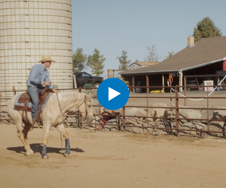 ranch-sorting-flag-work