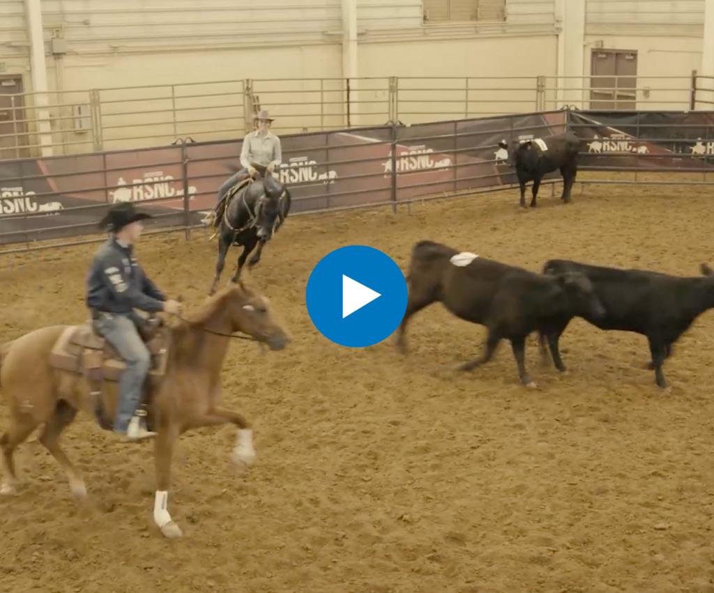 The 5 Rules of Ranch Sorting