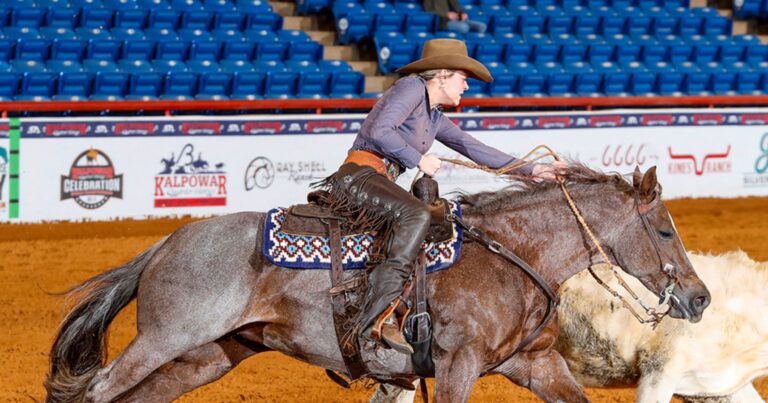 Landri Lisac_2026_NRCHA_COC_Lookslikelucktome_Primo