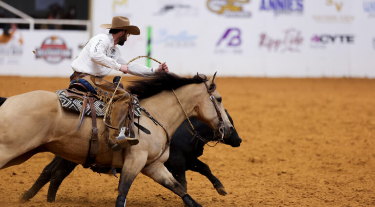 Matt Koch_MPH Voodoo Badger