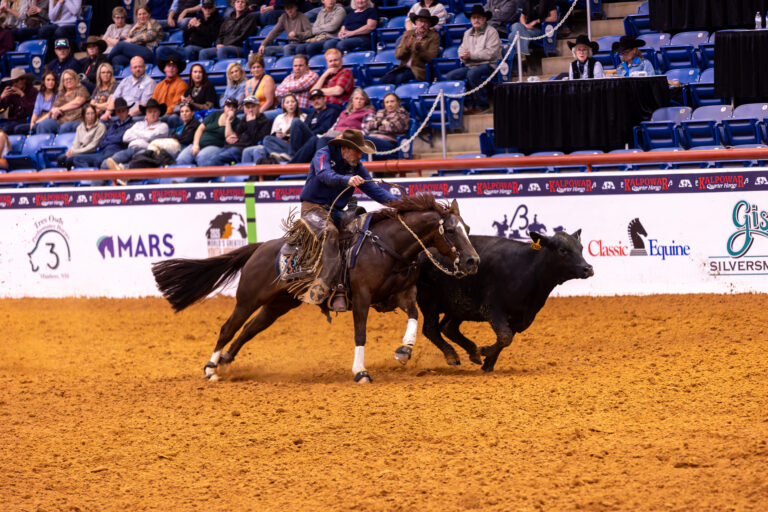 ShaneSteffen-SprinkldConfetticat-OpBridle-COC26-EC-033A1324