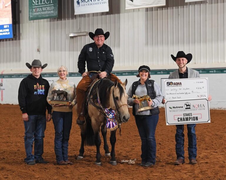 Cee My Special Nite AQHA World Show