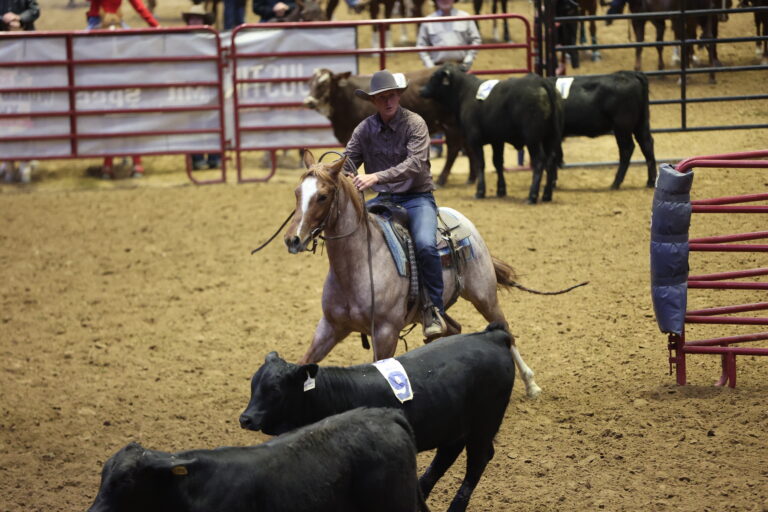 WHAllLevels-EC-SA26-033A9895