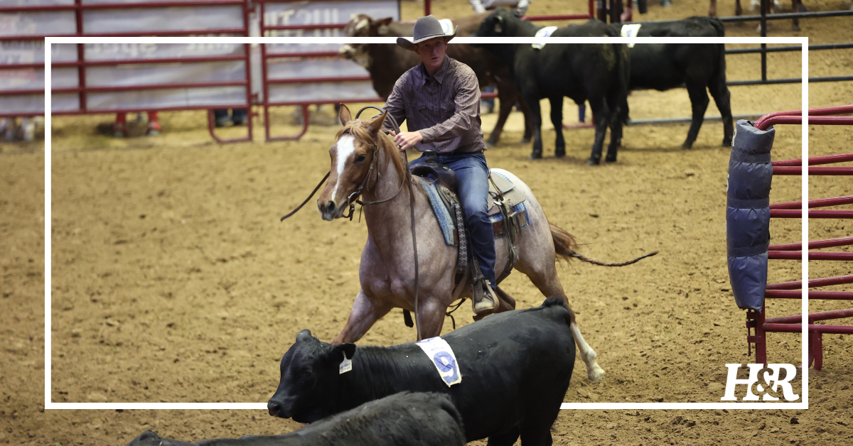 Sorting In Rodeo 2026 San Antonio Stock Show & Rodeo Ranch Sorting Results