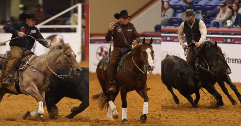 v2Worlds Greatest Horseman_WGH Finalists_File