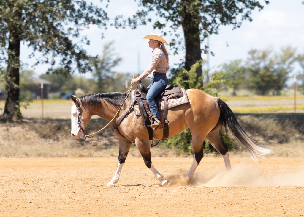 Rider using clear stop cues to ask a horse for a soft, balanced stop