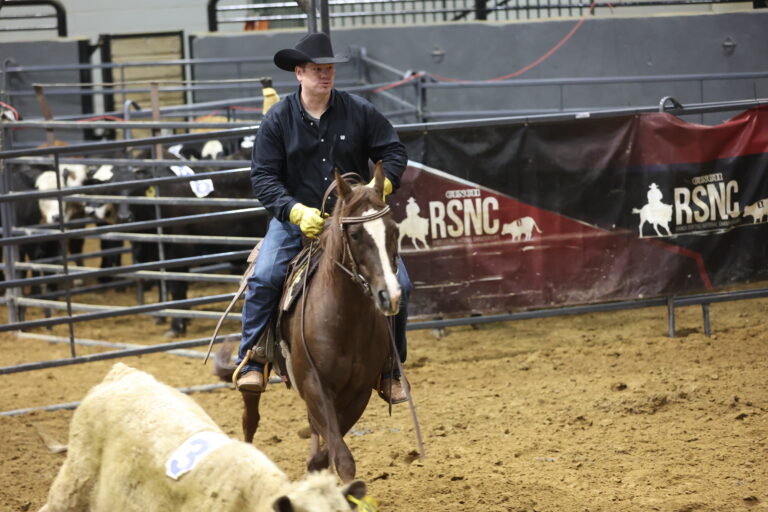 WHAllLevels-Dixie26-EC-033A8818