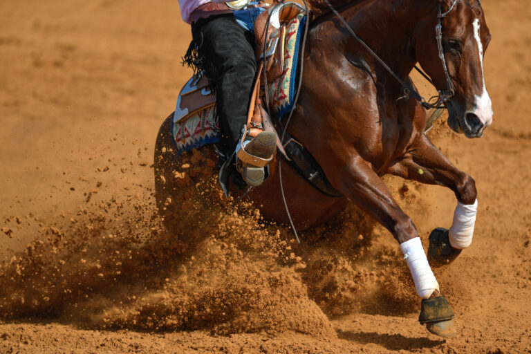 The side view of a rider in jeans, cowboy chaps and checkered shirt on a reining horse slides to a stop in the red clay an arena