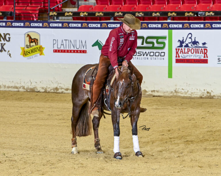 EmilyCarey-Horse&Rider_CoreyCushing_SmartDressedDude_26SS_GDD1841_WO