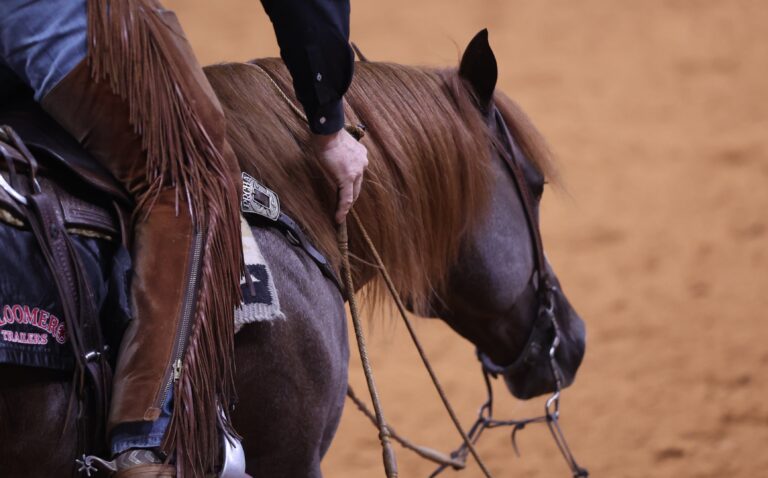 JayMcLaughlin-BringItSkippy-WGH26-EC-033A1637