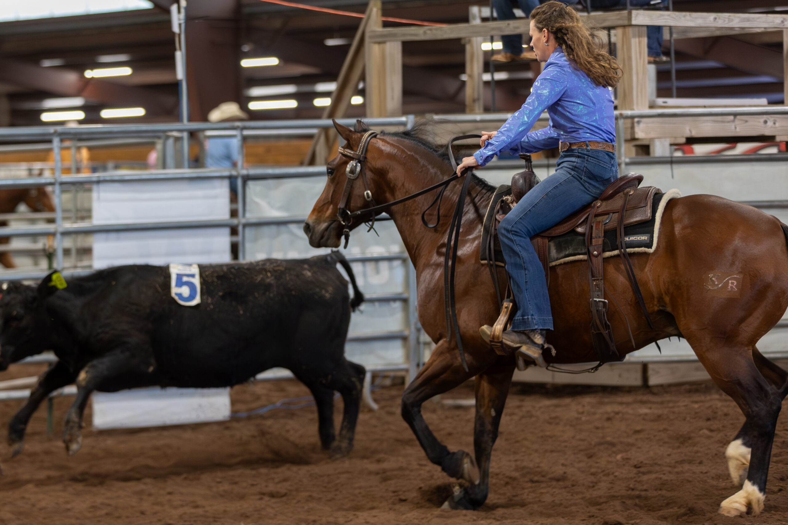 NEReg26_EC_WHAllLevels_033A2432