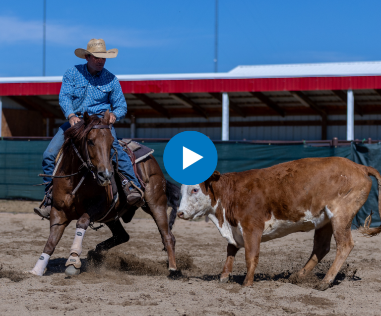 kody ward- cutting horse