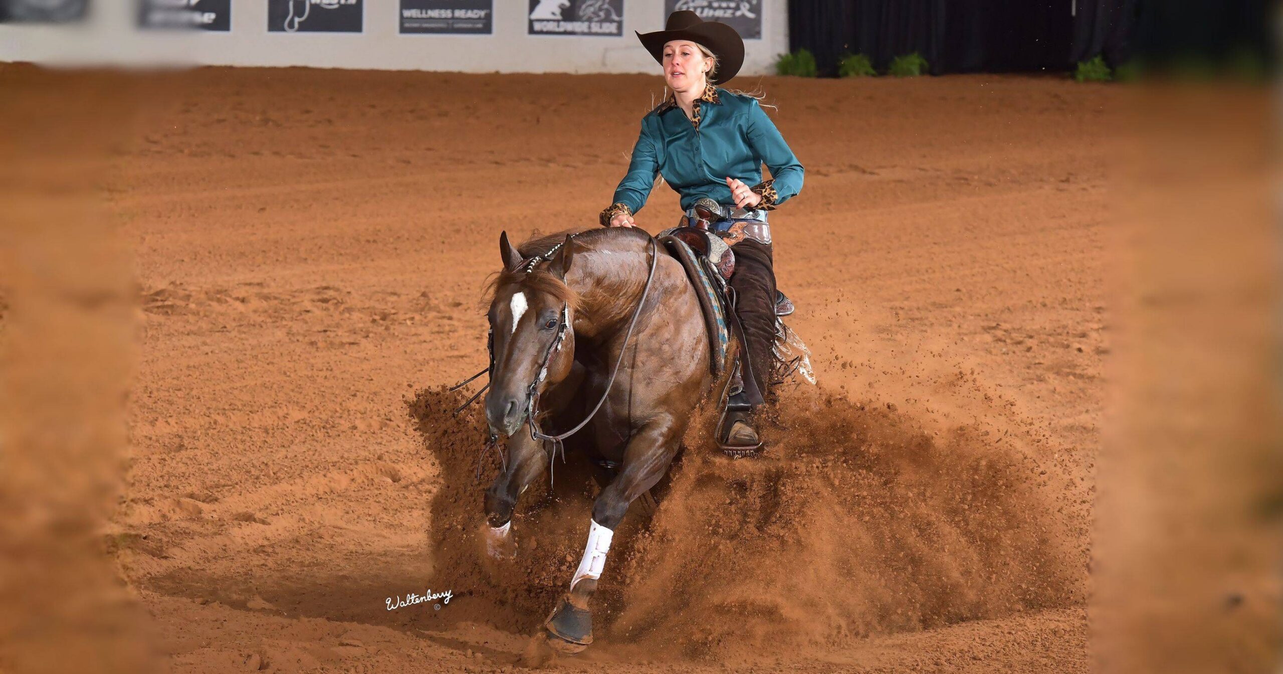 Gina Schumacher_2026_NRHA Derby Prelim Non Pro_Take Out The Trash_Waltenberry_compressed