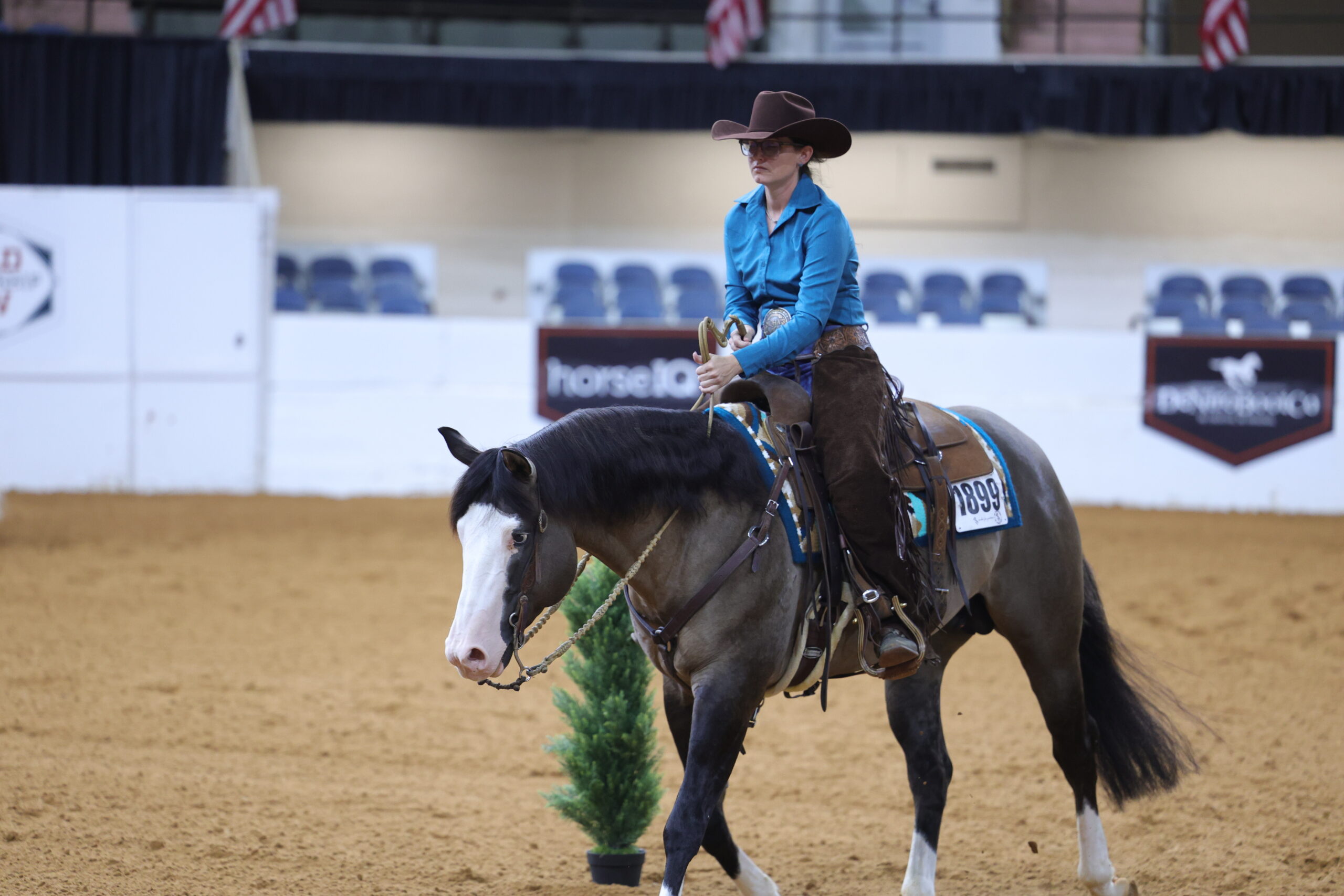 A silver gunner_jenna seal_2026_apha_ranch riding