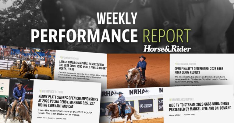 Performance Report June 15