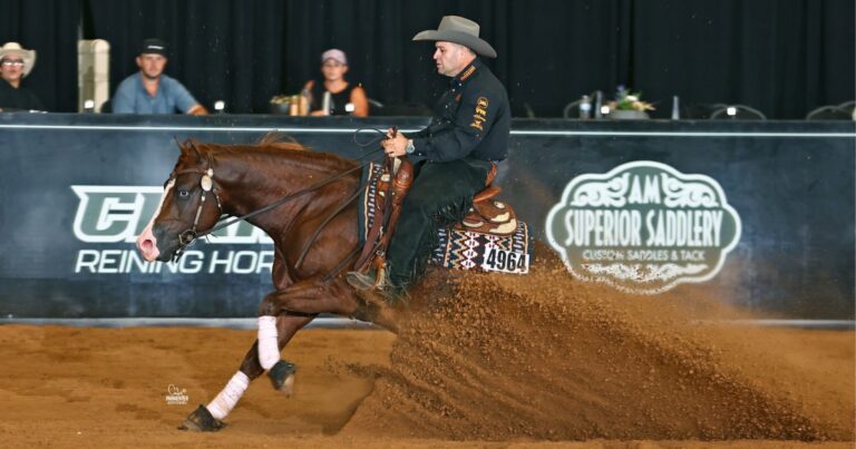 Franco Bertolani_blueyedboy_100x waco_Cody Parmenter