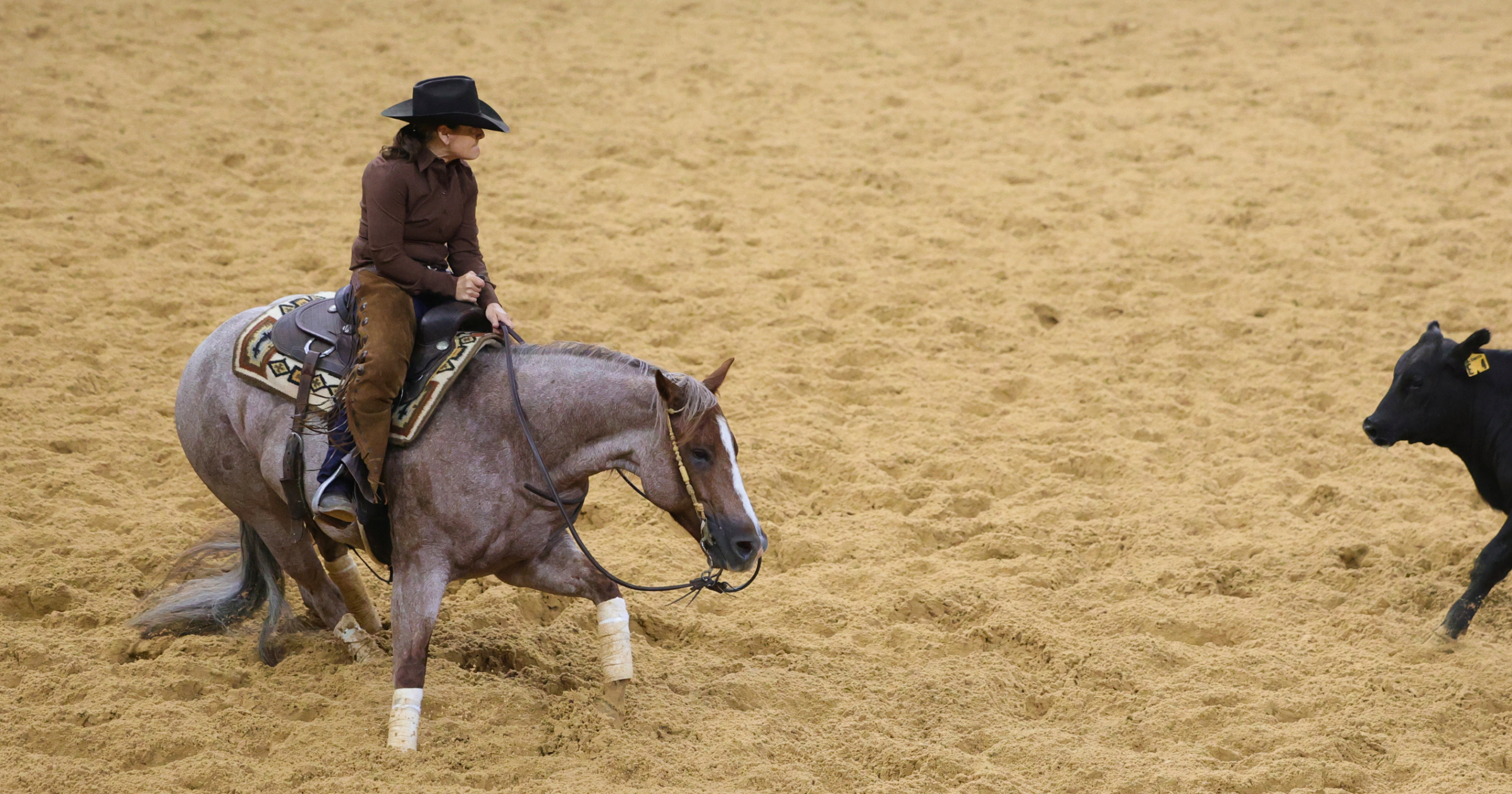 Kathleen Moore_Jazlyn_2026_NCHA Summer Spec_social