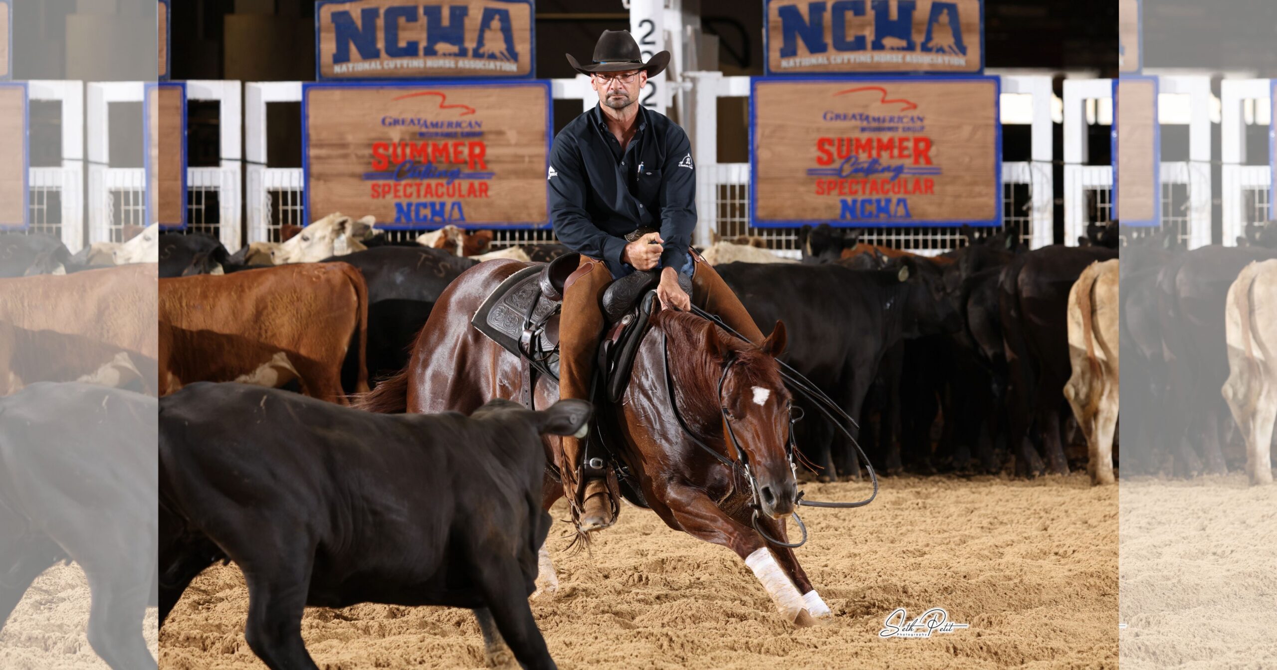 Kenneth Platt_Cat_2026_NCHA Summer Spec_Video West (1)