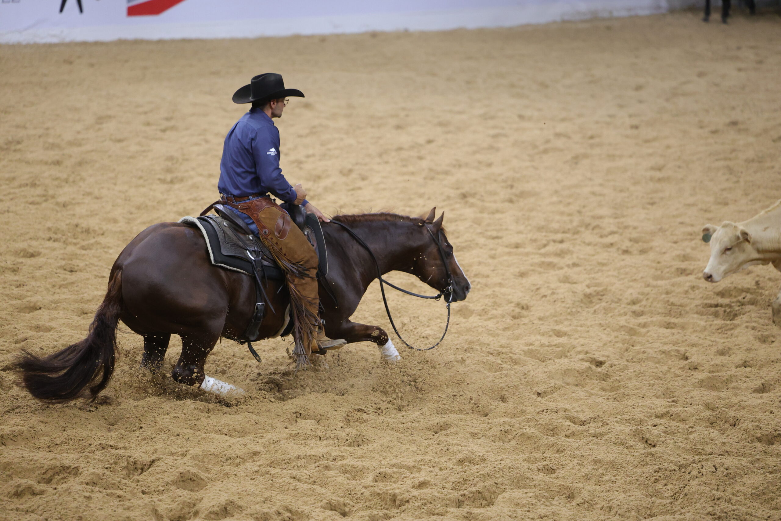 LBR Hangem_Kenny Platt_2026 NCHA Summer Spec_File