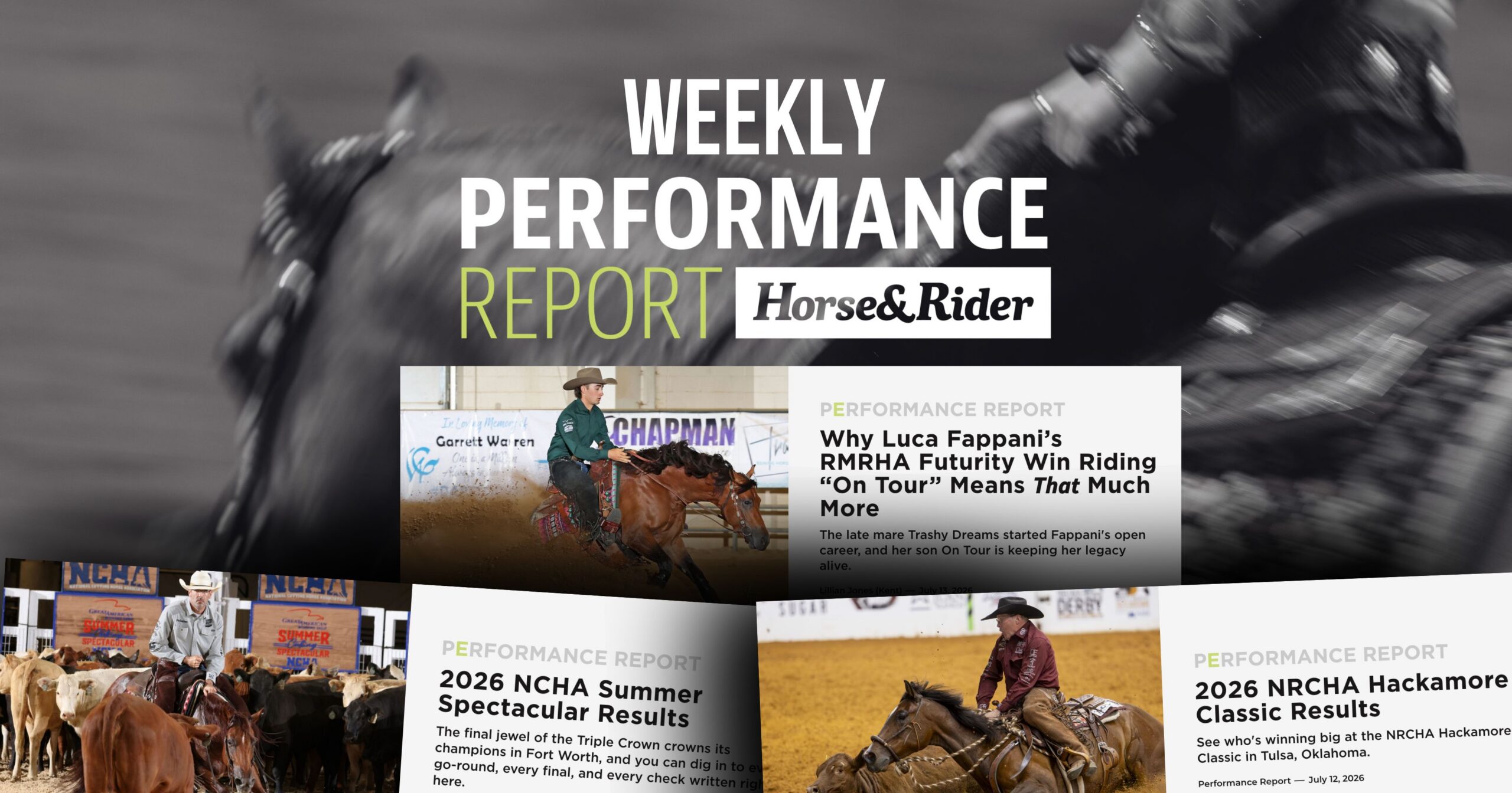 Performance Report NCHA Summer Spectacular NRCHA Hackamore