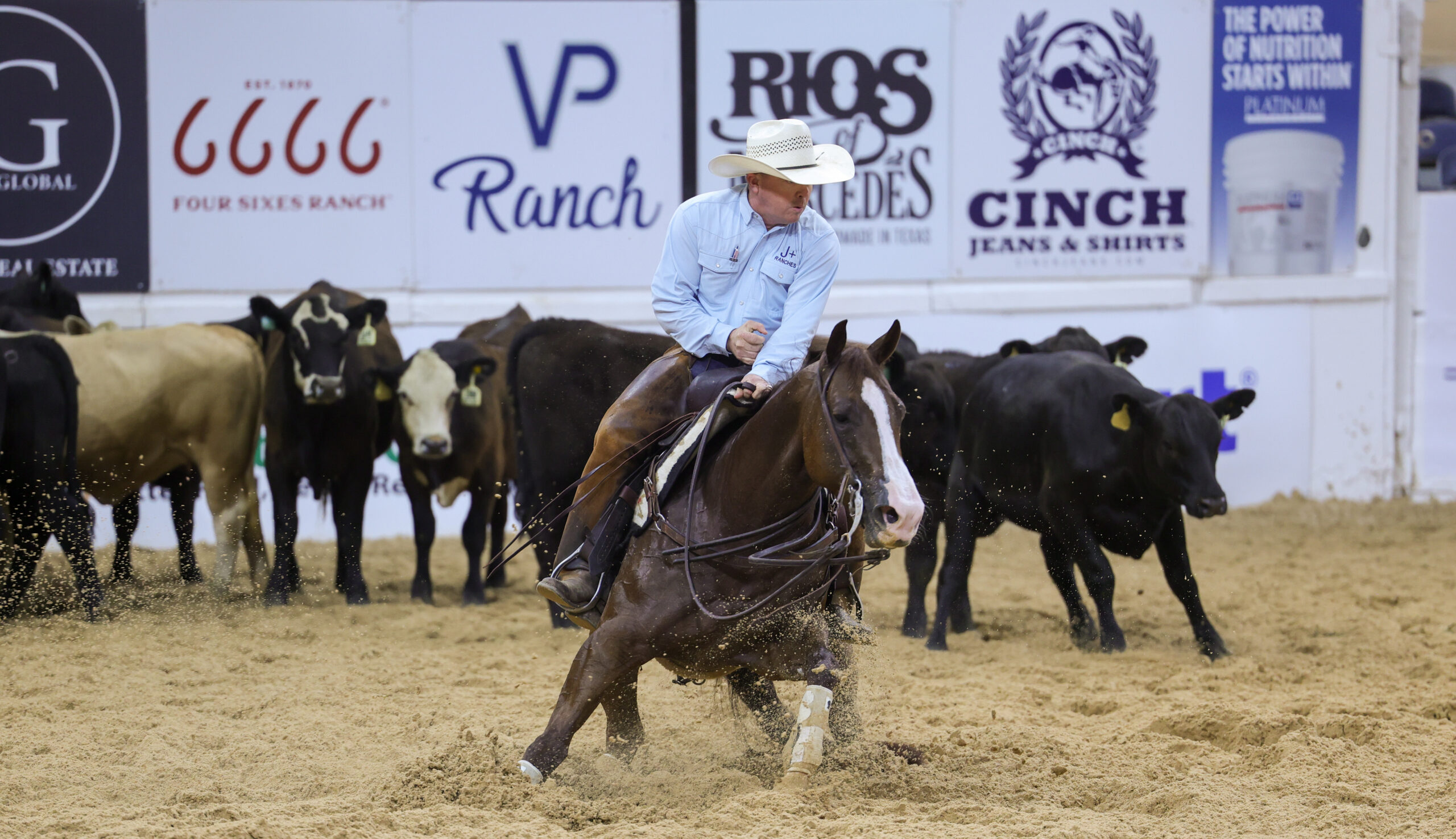 Thomas Bray_Magick Madness_2026_NCHA Summer Spec_file