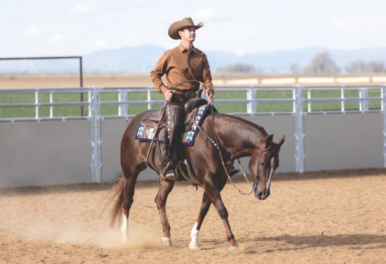 Cody Crow trots a chestnut horse about 50 feet off the arena rail during the Rabbit Ears Drill