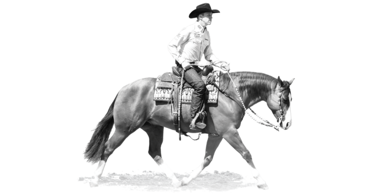 ranch riding feature image