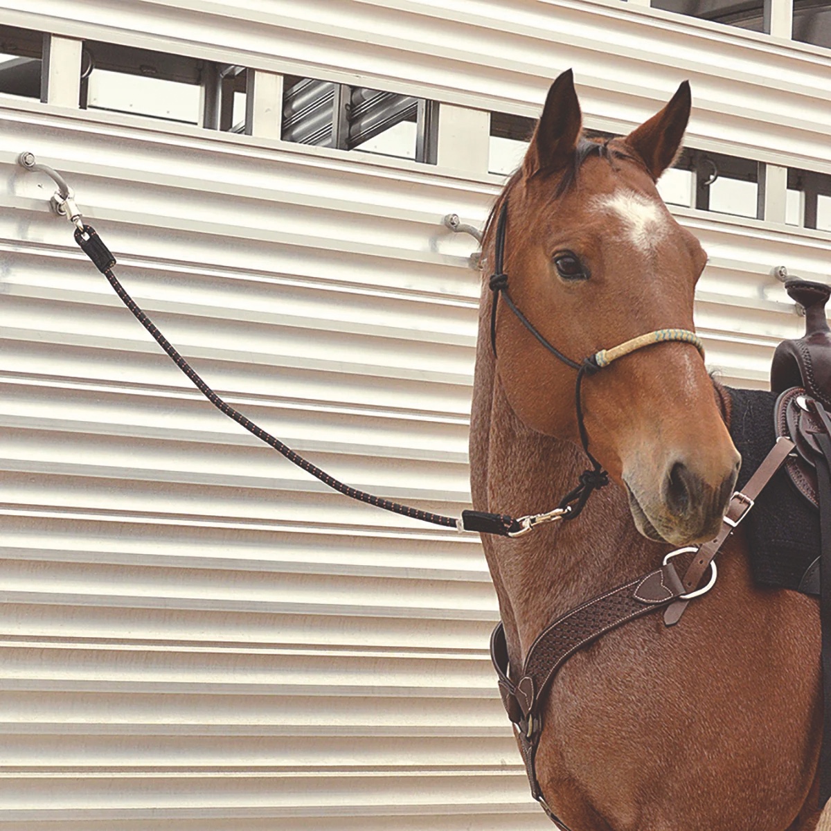 Shock-absorbing horse trailer tie with quick-release safety snap