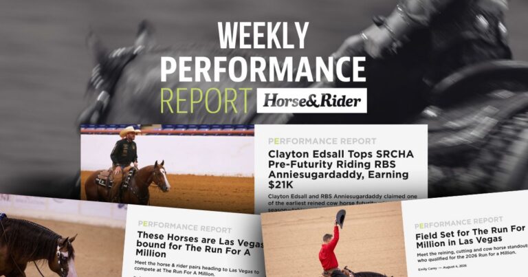 Performance Report Weekly_TRFAM