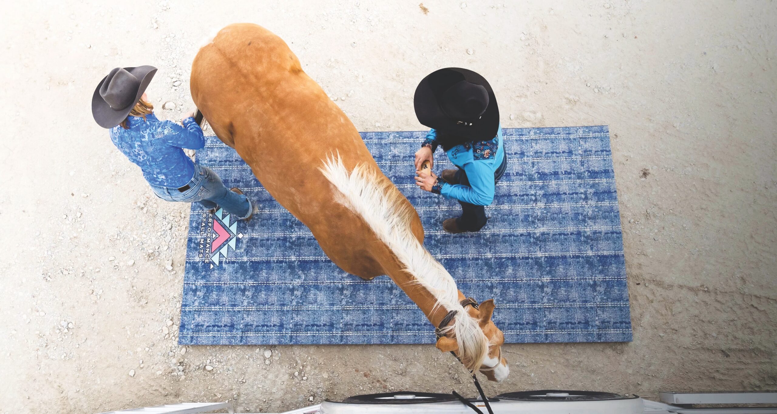 Palomino horse standing on a blue Performance Stall Mat while two people in cowboy hats groom it.