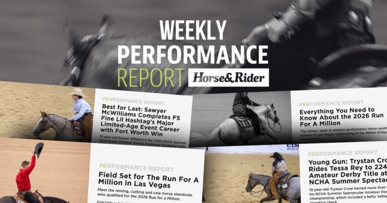 Performance Report Weekly