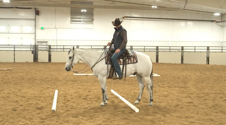 sidepass cody crow