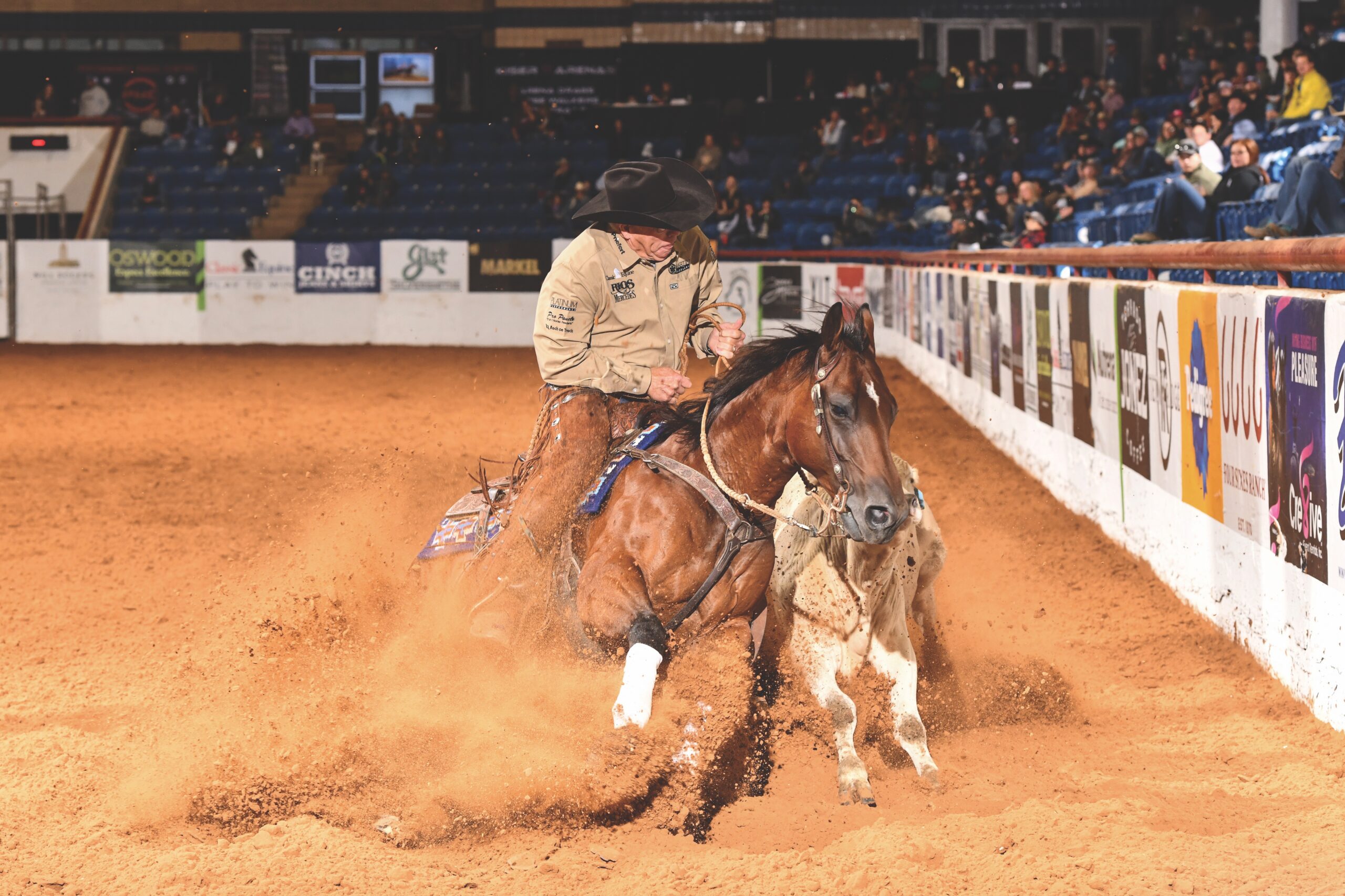 Reined cow horse professional Todd Crawford runs down the fence chasing a cow inside the Cowtown Coliseum, dust flying